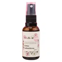 KVITOK  Organická květinová voda Skalní růže 30 ml