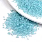6/0 Glass Seed Beads