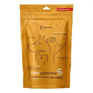 CURE POINT CBD Recovery S Pamlsky pro psy 100 g