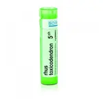 BOIRON Rhus Toxicodendron CH5 4 g