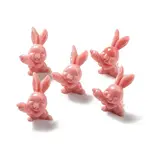 Opaque Resin Home Display Decorations