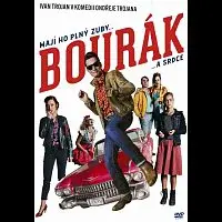 Různí interpreti – Bourák DVD