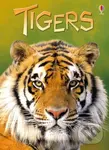 Tigers - James Maclaine