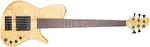 AV Basses 2021 AVS5 Converted Fretless