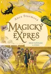 Magický expres - Mezi světlem a stíny (poškozená) - Anca Sturmová