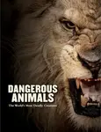Dangerous Animals - Barry Madden
