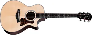 Taylor 312ce Next Generation
