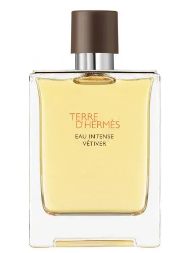 Hermes Terre D`Hermes Eau Intense Vetiver - EDP 100 ml
