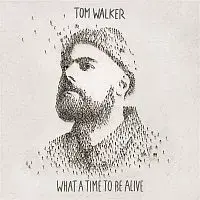 Tom Walker – What a Time to Be Alive LP
