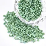 Opaque 8/0 Glass Seed Beads