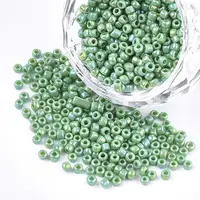 Opaque 8/0 Glass Seed Beads