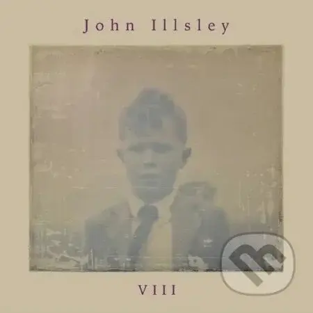 John Illsley: VIII