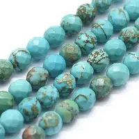 Natural Magnesite Beads Strands