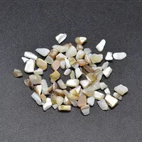 Dyed Natural Freshwater Shell Chips Beads