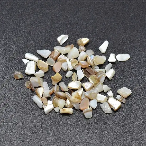 Dyed Natural Freshwater Shell Chips Beads