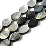 Natural Black Lip Shell Beads Strands