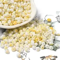 Baking Paint Glass Seed Beads