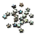 Natural Abalone Shell/Paua Shell Beads