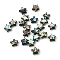 Natural Abalone Shell/Paua Shell Beads