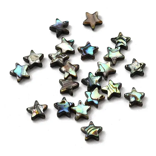 Natural Abalone Shell/Paua Shell Beads