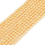 Electroplated Shell Pearl Beads Strands