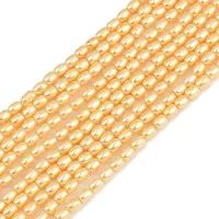 Electroplated Shell Pearl Beads Strands
