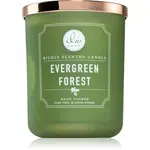 DW Home Signature Evergreen Forest vonná svíčka 445 g