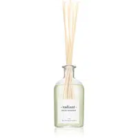 Ambientair The Olphactory Spiced Tangerine aroma difuzér radiant 250 ml