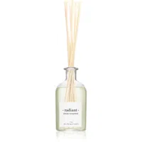 Ambientair The Olphactory Spiced Tangerine aroma difuzér radiant 250 ml