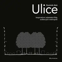 Kniha: Ulice od Aleš Dominik