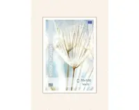 Klipový rámček 70x100 cm, číry%