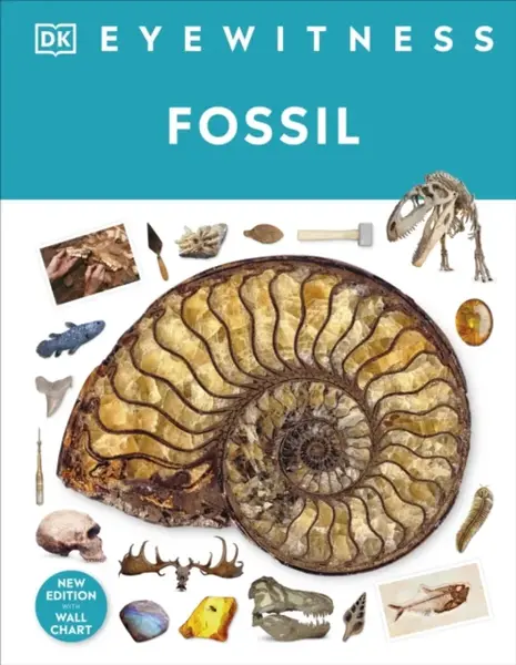 Fossil - Dr Paul David Taylor