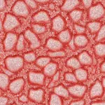 Barva Pébéo Fantasy Prisme 45ml – 21 Icy pink