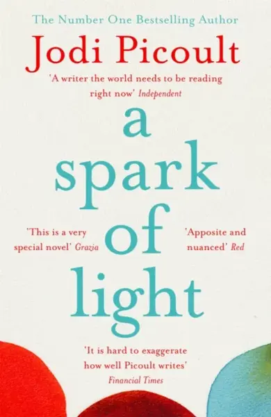 A Spark of Light - Jodi Picoultová