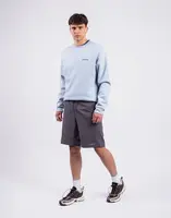 Patagonia M's Terrebonne Shorts Forge Grey S