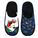 Pánske pantofle Penguins - Frogies