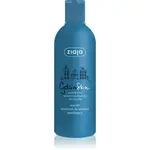 Ziaja Gdan Skin hydratační a ochranný šampon 300 ml