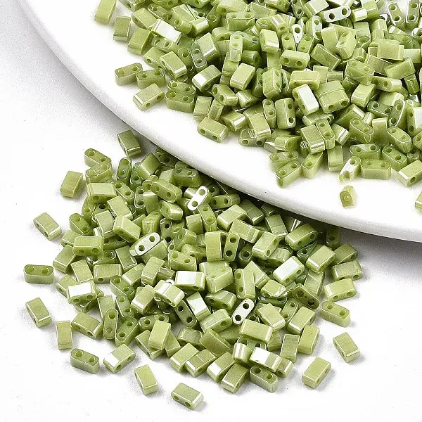 FGB 2-Hole Glass Seed Beads