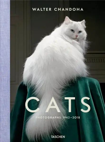 Cats: Photographs 1942-2018 - Susan Michals, Walter Chandoha