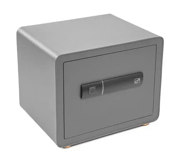 Trezor G21 na otisk prstu 380x310x300mm