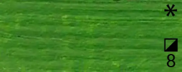 Olejová barva Renesans 20ml – 37 Zeleň tmavá