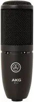 AKG P120