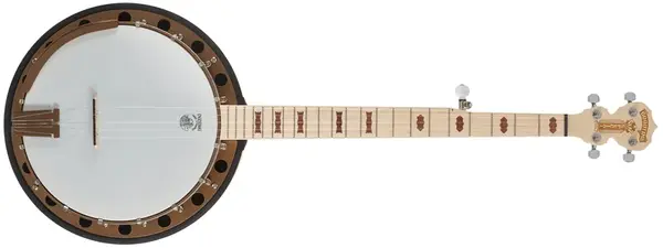 Deering Goodtime Special 5-String with Resonator