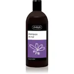 Ziaja Family Shampoo šampón na mastné vlasy 500 ml
