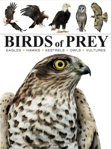 Birds of Prey - Tom Jackson