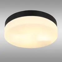 Stropná lampa Vranos 32112B PLD1