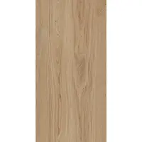 Dlažba Treniwood Beige 59,8/119,8