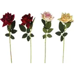 Růže velvet o 10cm 62cm mix 443647