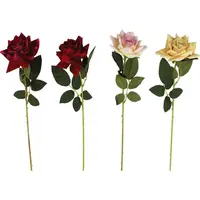 Růže velvet o 10cm 62cm mix 443647