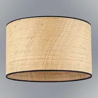 Stínidlo 9711 Raffia D40